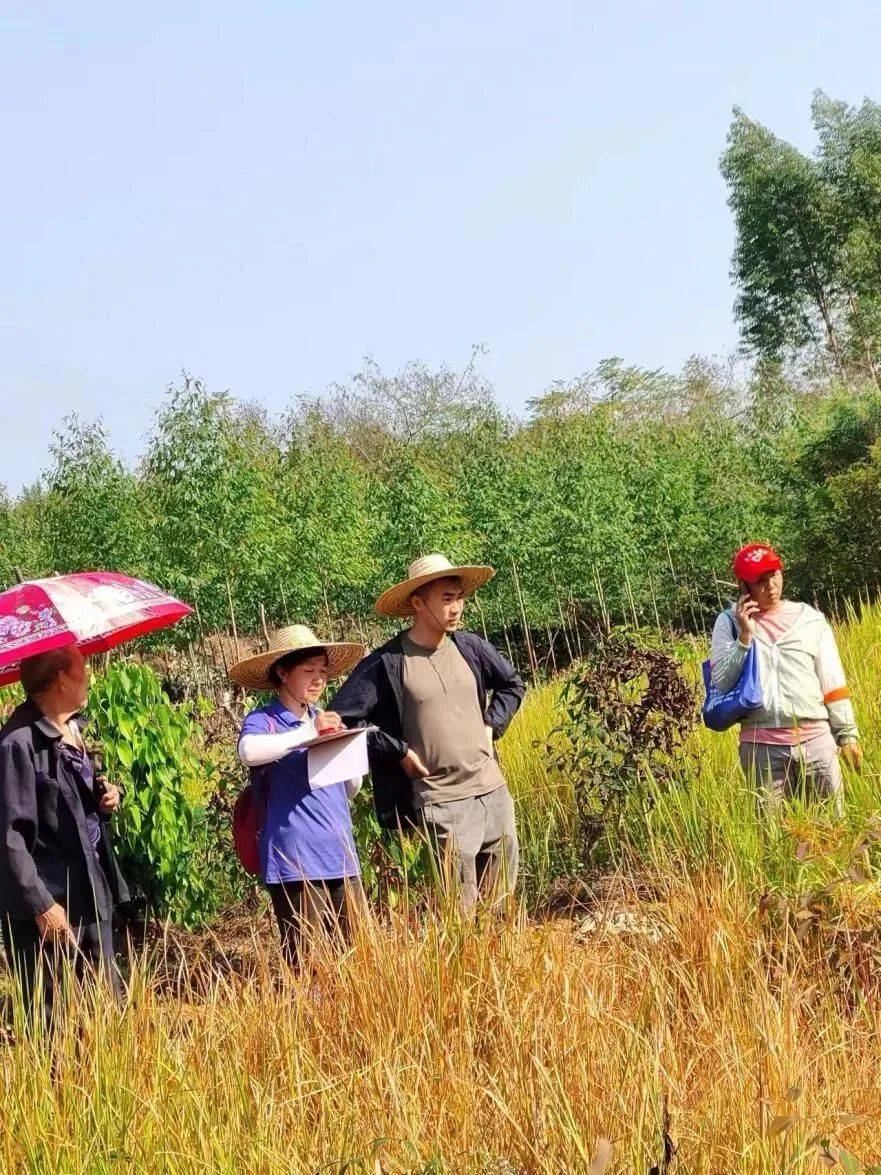 "平南八景"之一的"白马双英"(即:南汉梁嵩状元纪念馆和明督师袁崇焕"