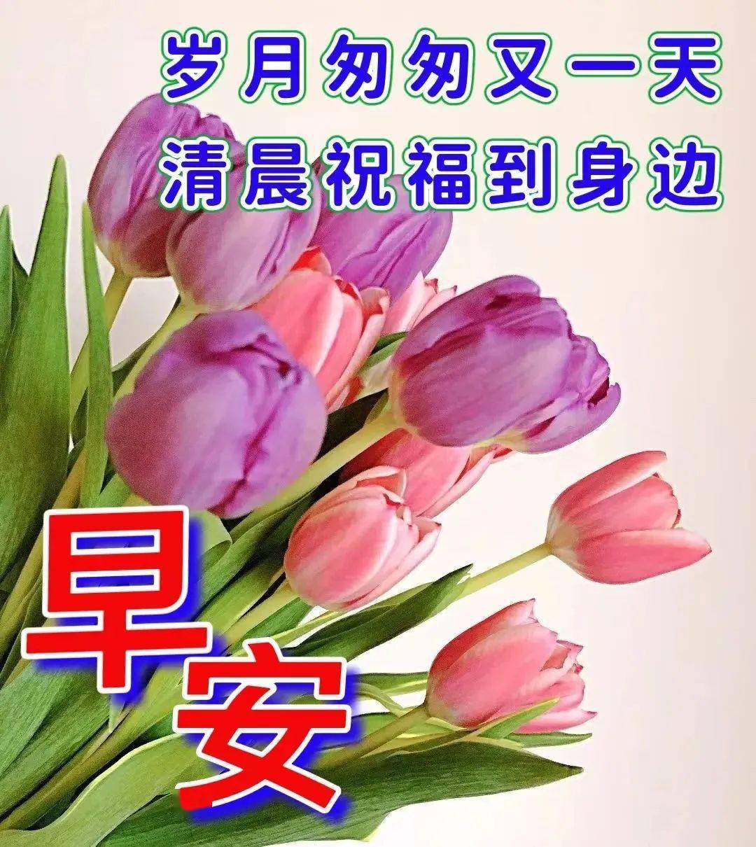 最新早上好祝福问候语精选，早上好暖心祝福问候语（早上好问候语温馨简短）