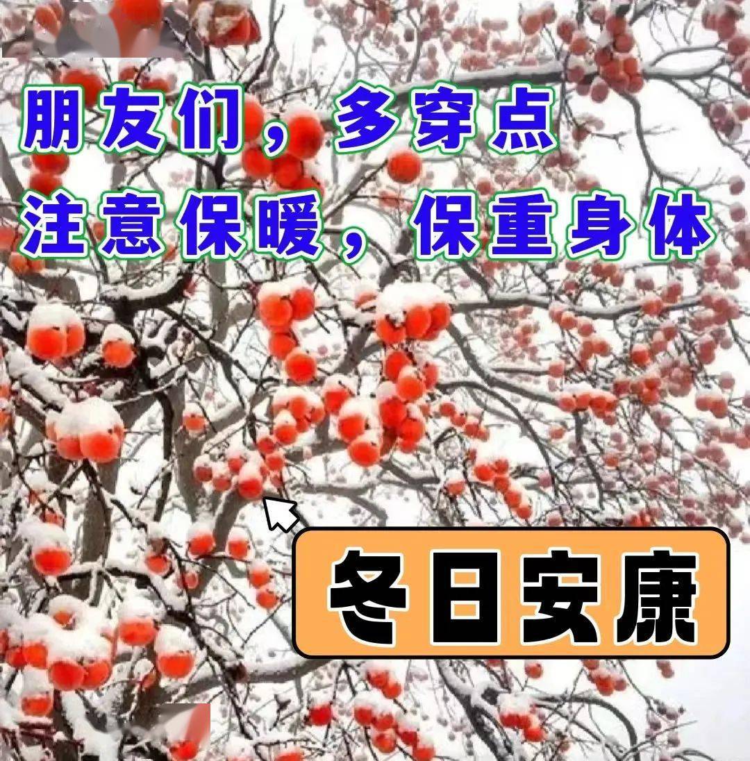 早安问候祝福精选图片，暖心的早上好问候语（早安问候图片带字温馨）