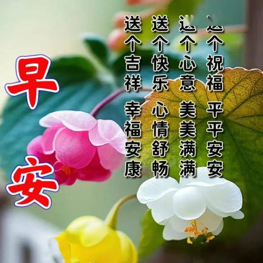最新早上好表情包大全,一声问候,祝你开心快乐每一天!