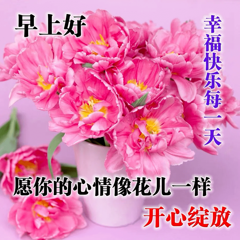 最新版最漂亮的早上好短语句子，祝福问候，开心幸福（早上好的暖心祝福句子）