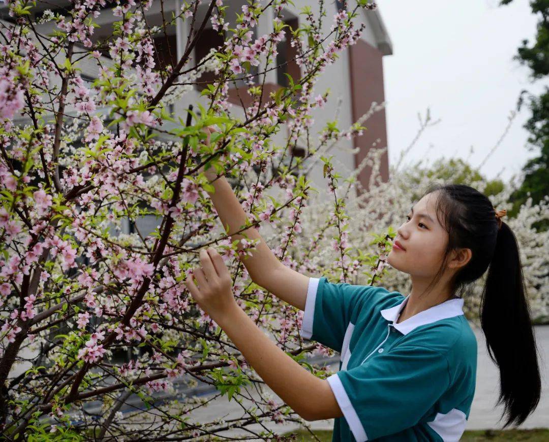 秀全中学新校长图片