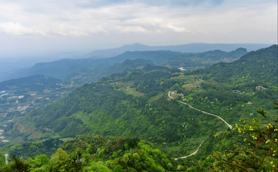 在酷暑的夏日,江津区西湖镇骆騋山景区如一股清流,来这里你可以住仙境