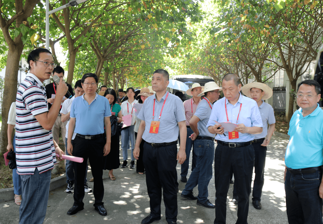 陈国衍,区政府副区长林宇,以及部分市人大代表(长乐组)等参加活动