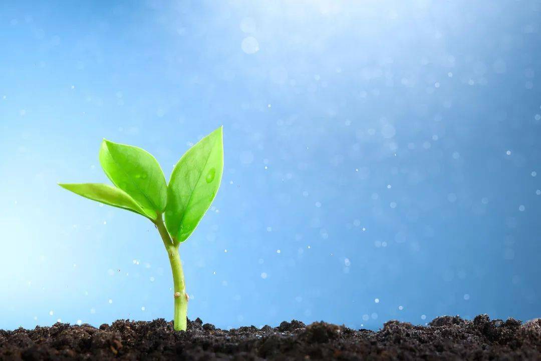 朗诵吧|《一生向阳》作者:翁国霖,朗诵:马兰花开【1906期】_人生_福建