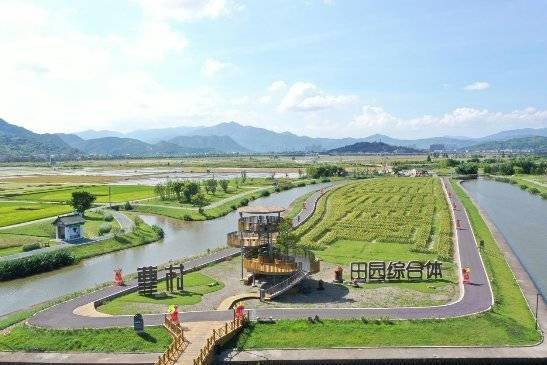浙江瑞安:发挥乡贤优势 助力乡村文化振兴_旅游_谢公富_曹村