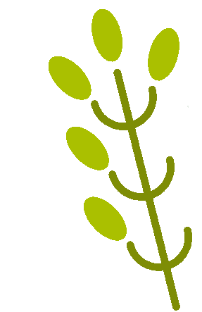 期而遇的夏天冰镇汽水里咕噜的小气泡夜晚丛草间传来的蝉鸣阵阵微风带