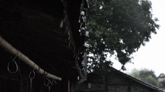 夏天的雨落在古诗词里，清凉了一千年_夏雨_黄梅县_池塘