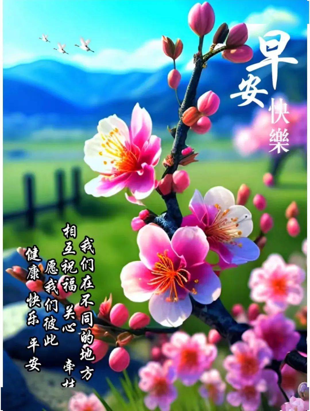 新版非常好看的早安图片大全,祝福问候,开心幸福!_生活_朋友_阳光