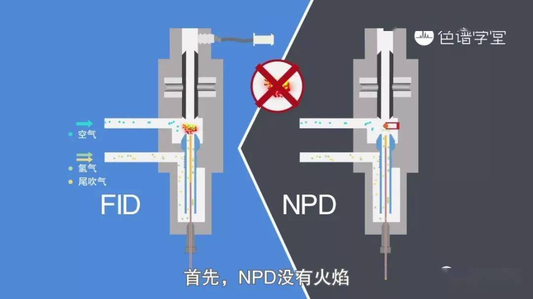 四分鐘動畫,帶你詳細瞭解氮磷檢測器npd_化合物_信號_樣品