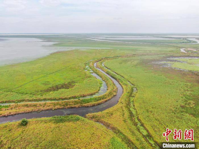 航拍江西鄱阳湖南矶湿地国家级自然保护区 水草丰茂风光秀美