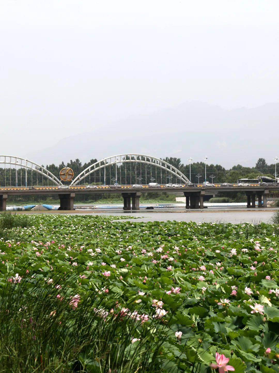 汾河公园里拍到的…太美!_洪洞_风光_前往