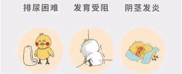 利用暑期,拯救深藏不露的"小鸟",让小丁丁"出人头地"_阴茎_隐匿性