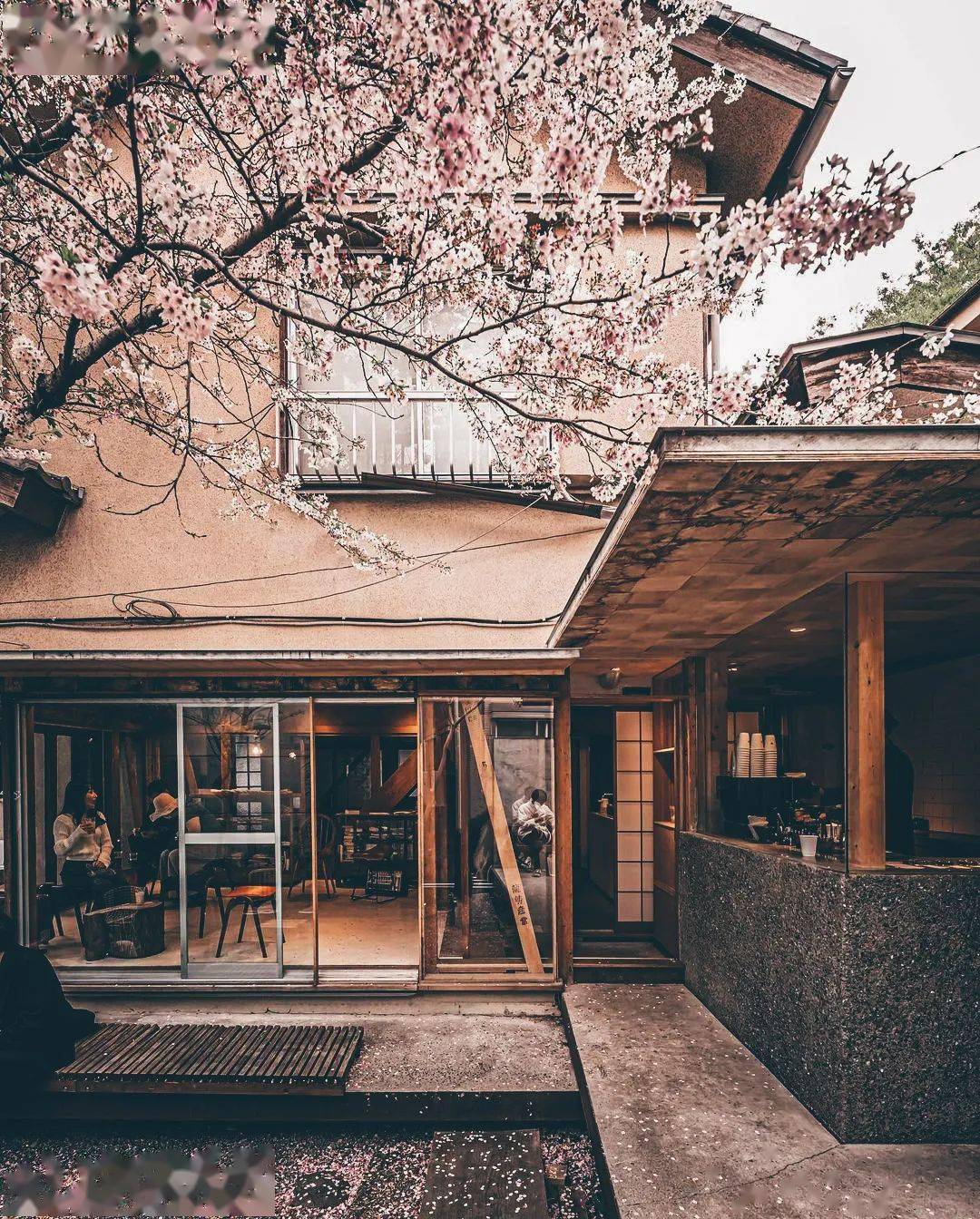 东京咖啡馆新店,这 3 家必须去_nadoya_coffee_katte