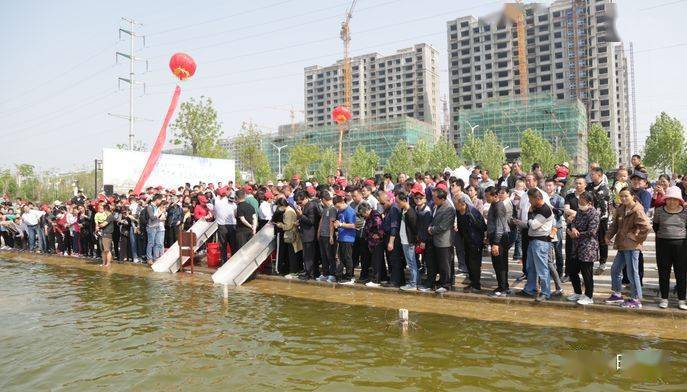 阳谷人速转!事关南湖游泳,发生在南湖的那些事_金水_呼吸道_公园