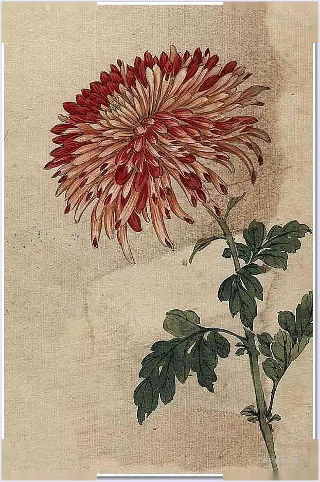 没骨百花图,美到骨子里!_昙花_国画_波罗蜜