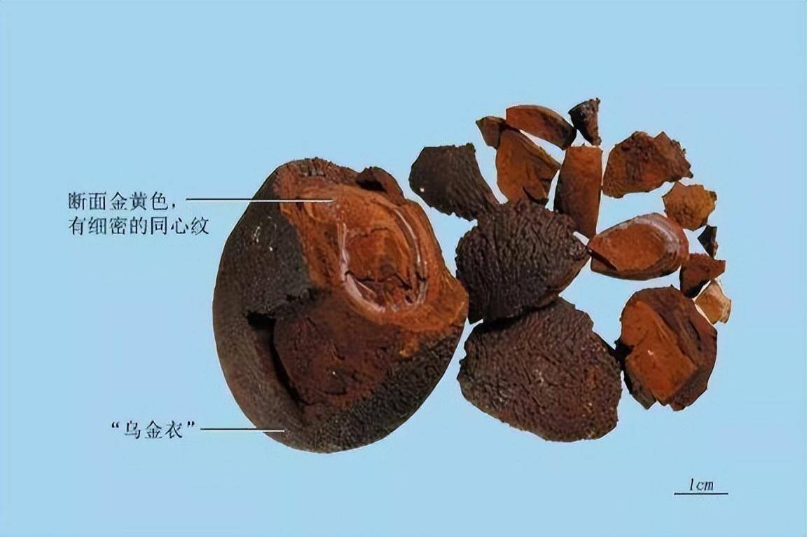 天然牛黄——世上最稀少且名贵的中药材_外用_公益_解热