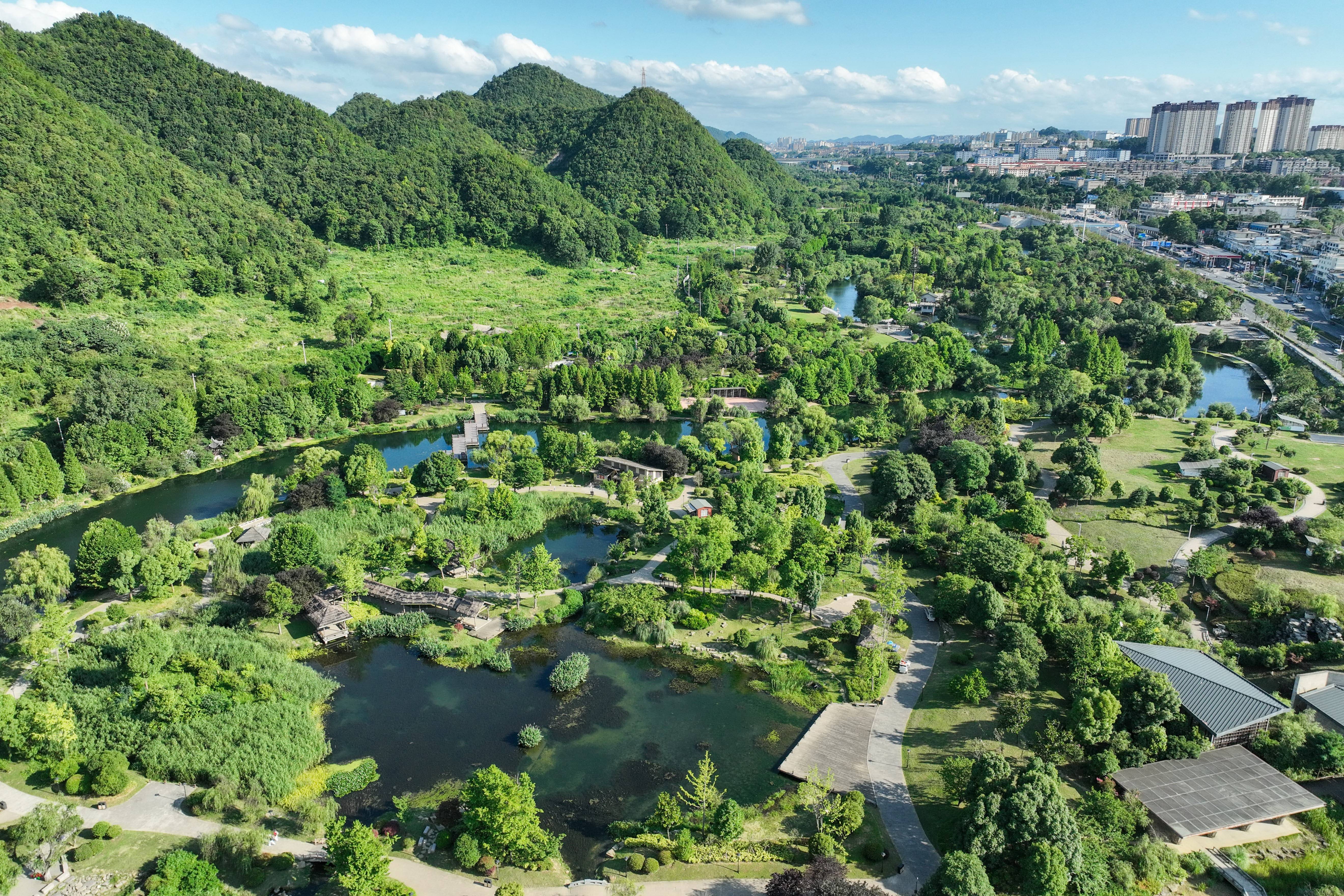 2023年7月5日,仲夏时节,贵州省贵阳市花溪十里河滩国家城市湿地公园