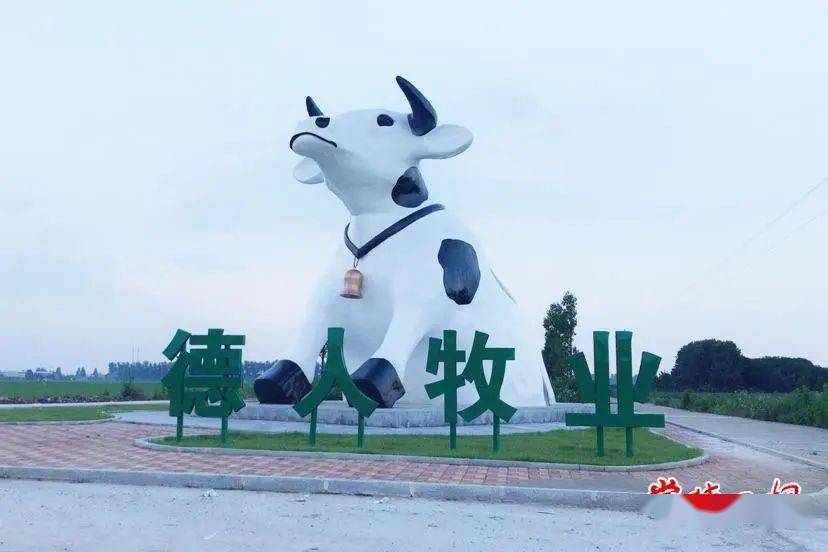 德人牧业图片来源:常德市文旅广体局活动内容:奶制品促销金色桃海