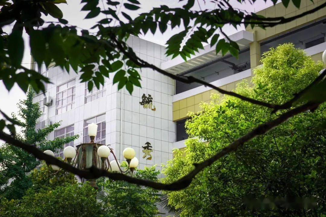 事关中招|今晚,宿州市第三中学等你来"云"咨询!_志愿_直播_广播