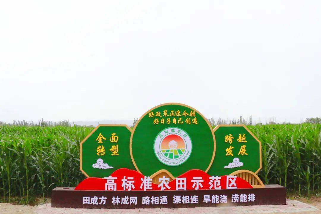 100%全覆盖,小营盘镇高标准建设"未来农田"_控制_陈驰_数据