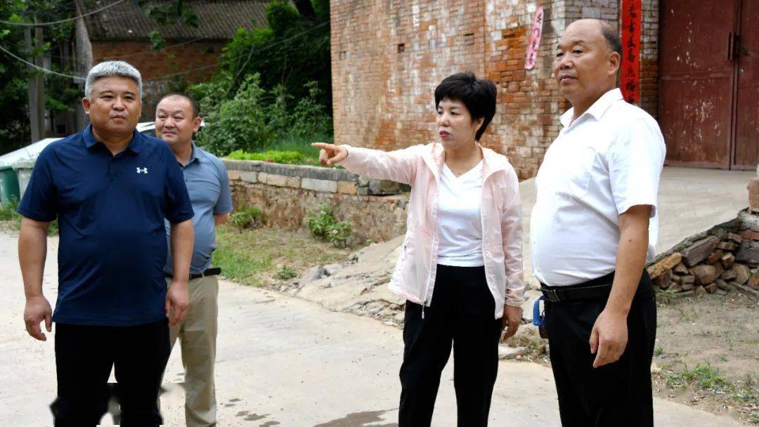 姬素娟先后到城关镇张河社区下石庙村,杨庄村,实