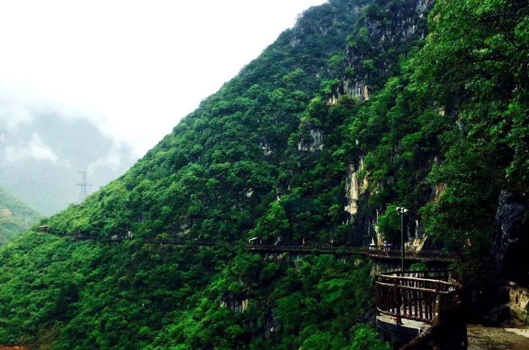 看千年秦楚古驿道,古驿站的秦岭洞天福地看独特韵味的木王森林公园