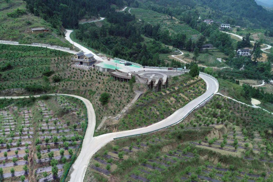 乐游开江 | 开江夏日必去的避暑胜地在这里~_梁山_水果_竹笋