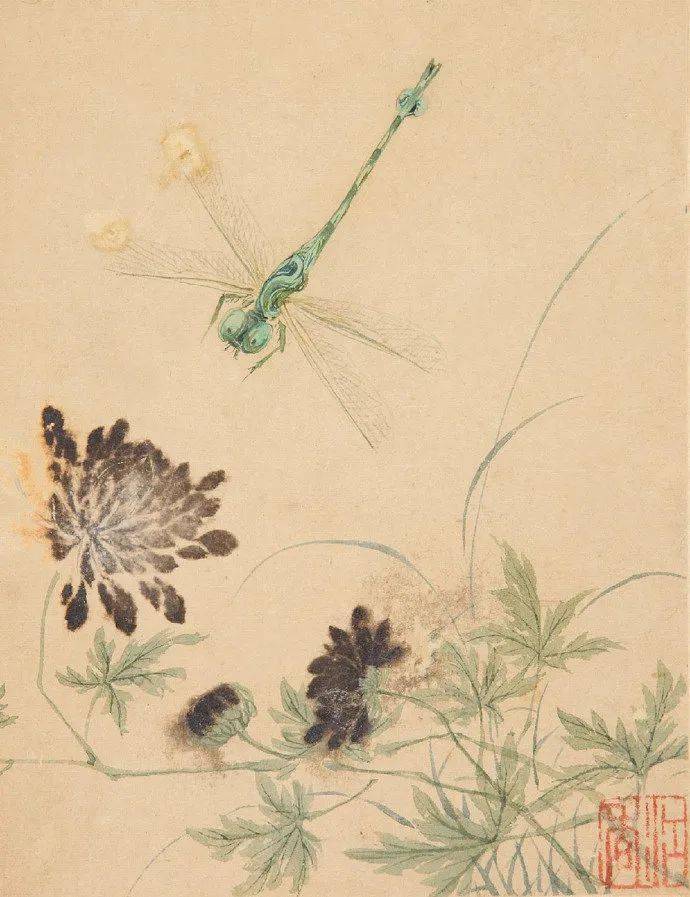 马荃:花鸟虫草图册_国画_江香_花卉