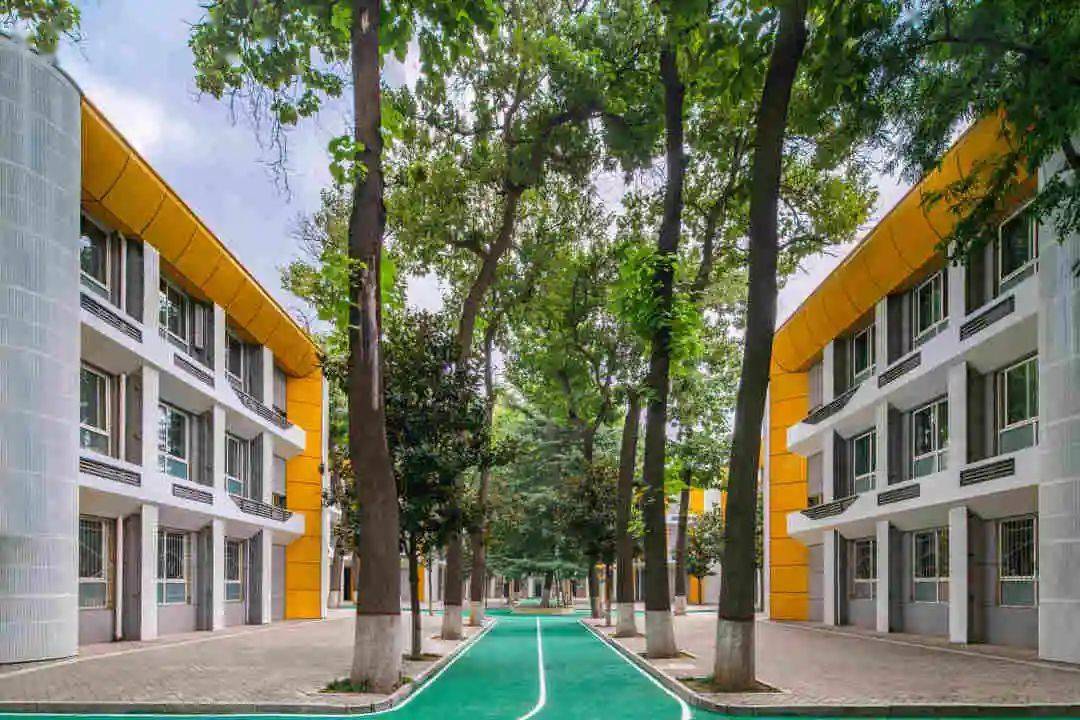 西安市华山中学2023年高中招生简章_教学_教育_发展