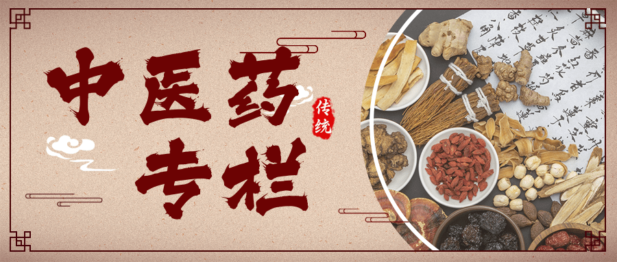 【中医药专栏 】中医药法实施六周年,一起重温《中华人民共和国中医药