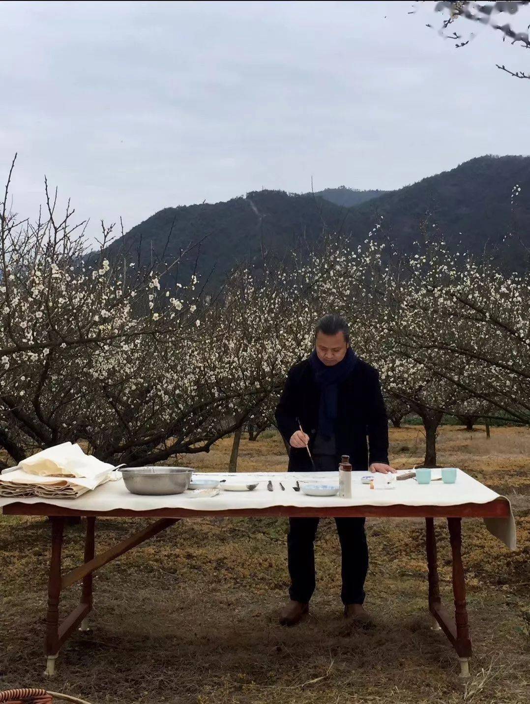 袁方勇兄的蟠龙山居因大型工业区建设被征用,我惋惜