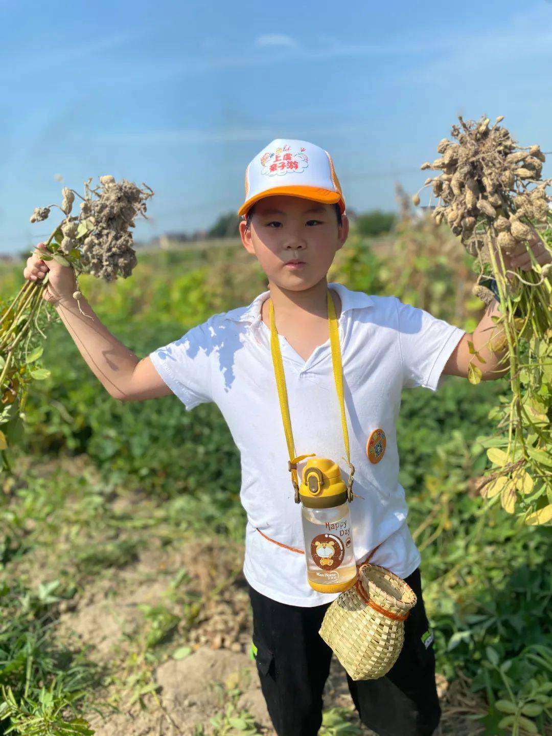 "鲜果少年 学农知节"---基于区域资源的美丽乡村研学之旅_活动_上虞