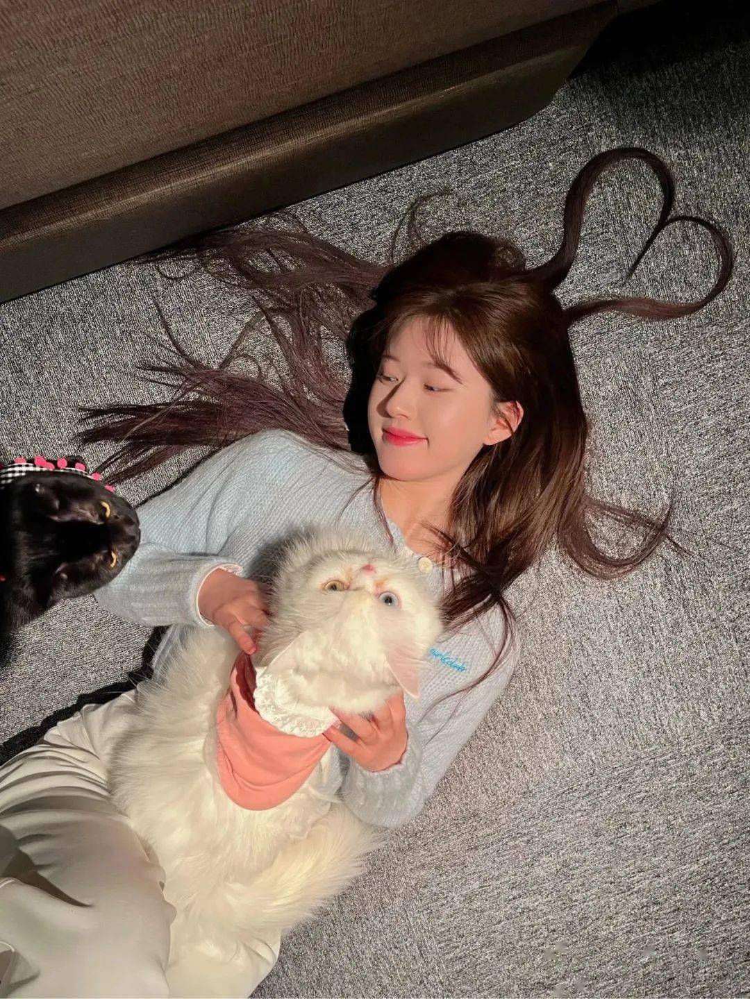 前有热播宠物综艺疗愈人心,后有词条"路人凭狗狗认出赵露思"冲上热搜