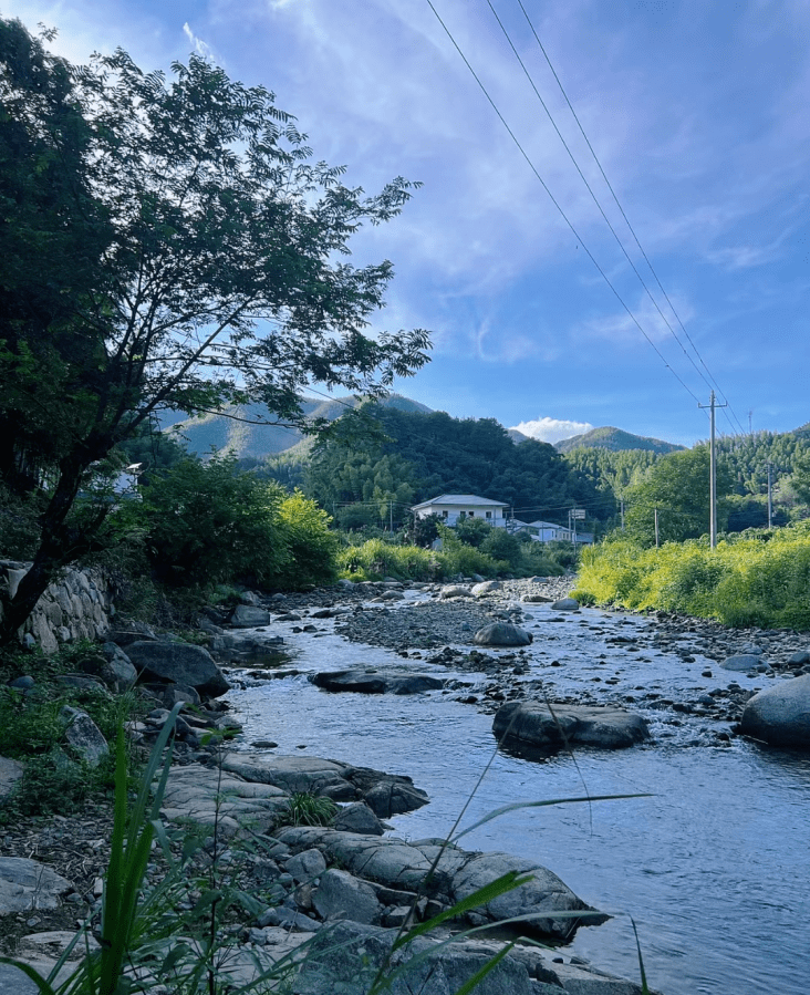出发,来百丈山寻找自然的魅力吧_奉新县_宜春_夏天