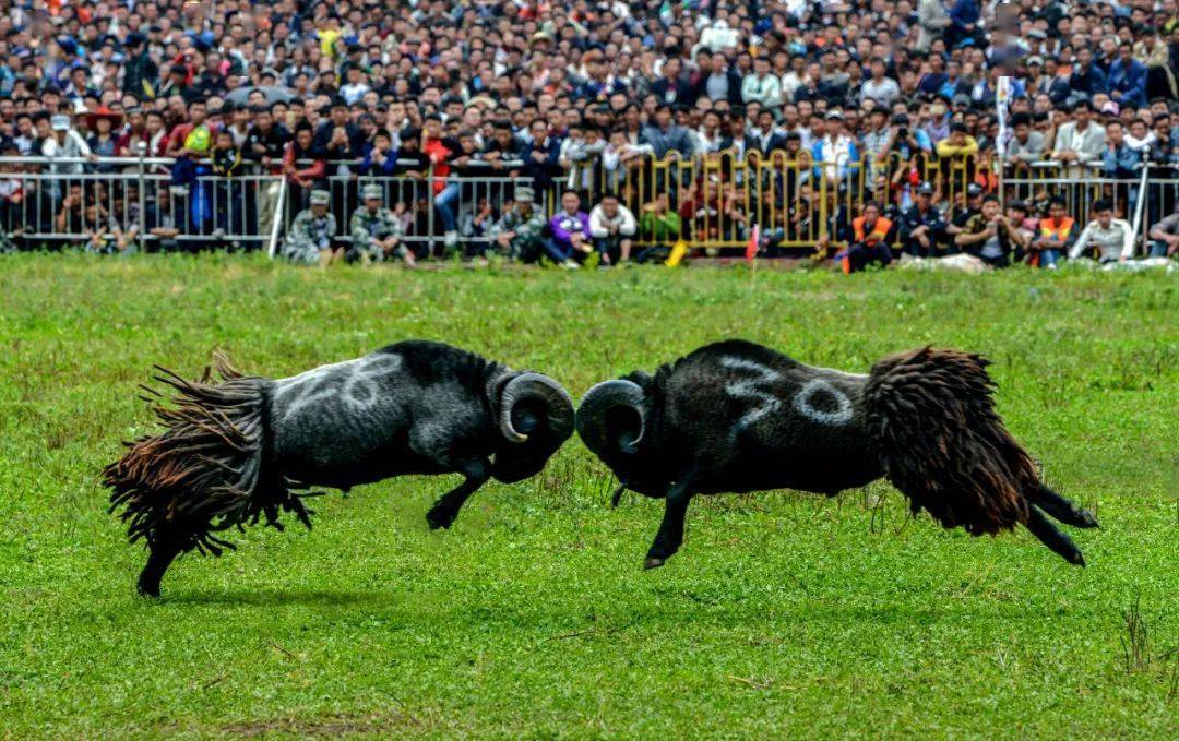 2023,彝族最盛大,最隆重的狂欢——火把节!_大凉山_摄影_我团