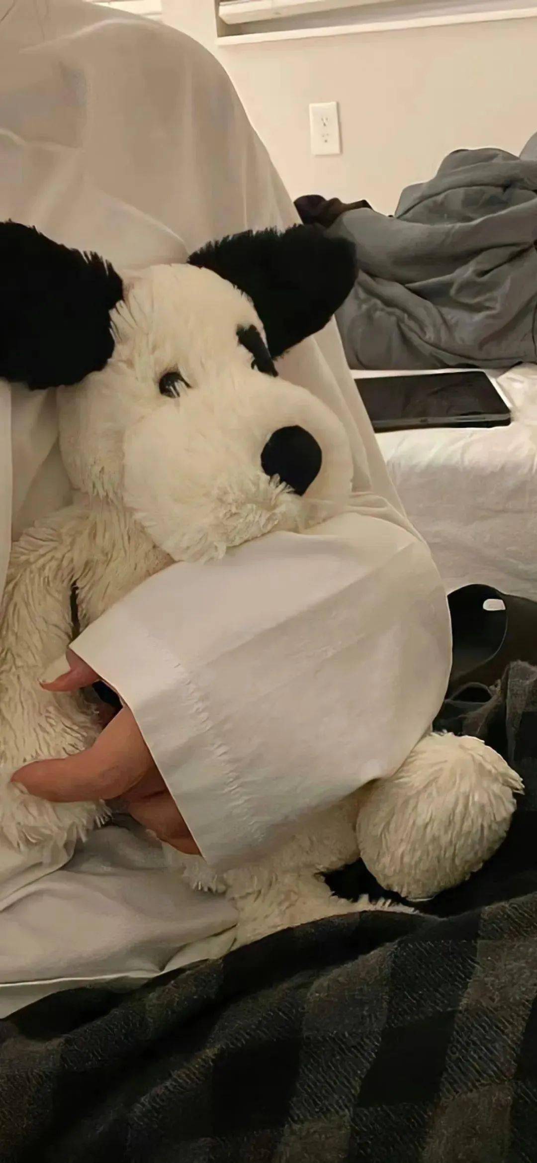 壁纸 | 363436373039 ins高级感壁纸