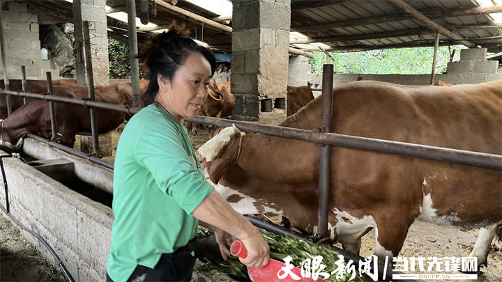 道真自治县桃源乡:"致富能人"助力乡村振兴