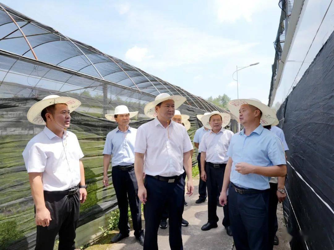 赖进益一行先后前往大同镇师福村,河田镇露湖村,南