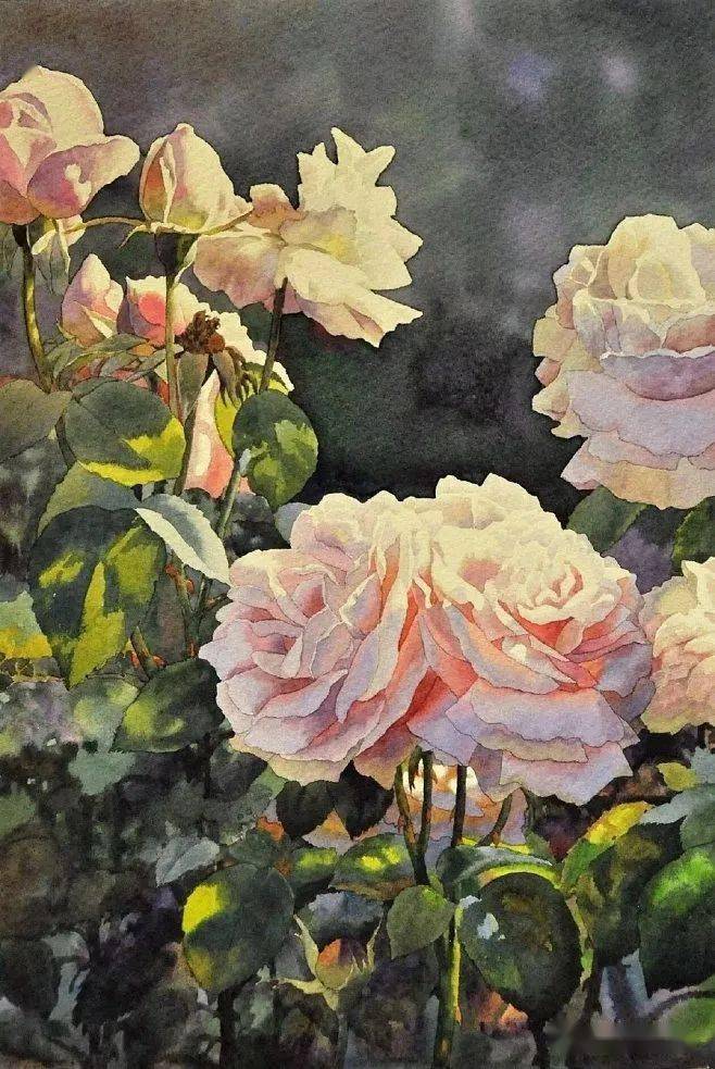 黄有维先生水彩花卉欣赏_生活_画面_作品