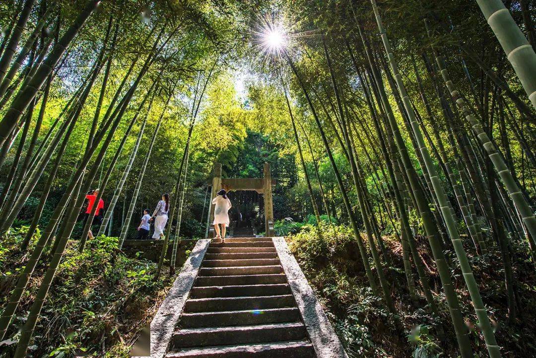 带上娃一起去浦江享受洗肺康养一日游!_上河村_旅游_乡村