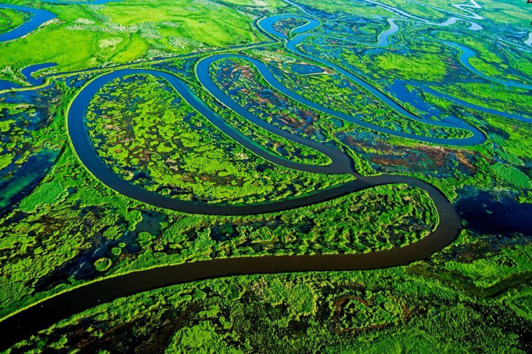 挠力河国家级自然保护区:守住守好生态保护红线底线_工作_植被_自然
