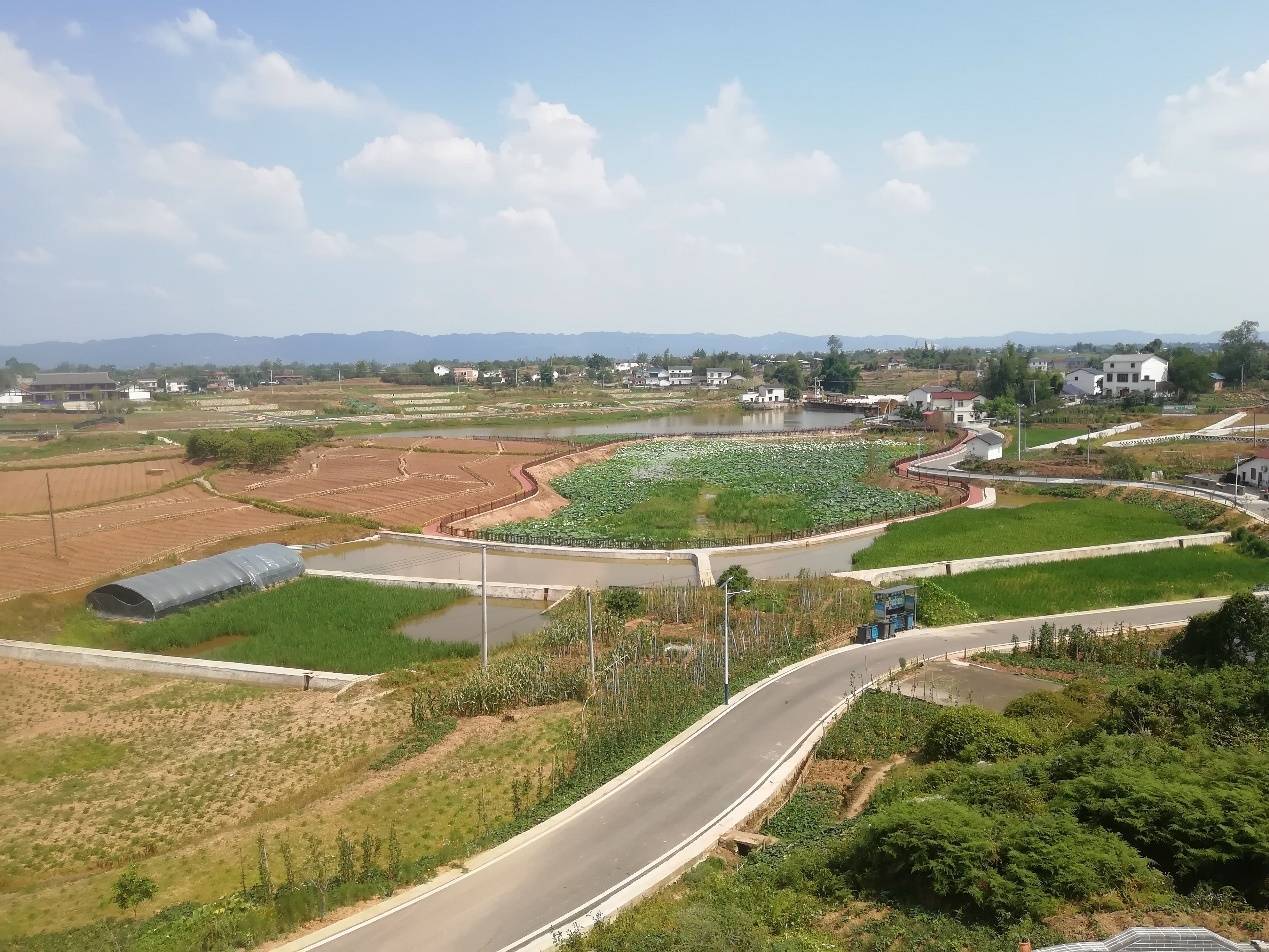 "时代光影 百部川扬"进基层 |内江隆昌三合村:乡村振兴的画卷徐徐展开