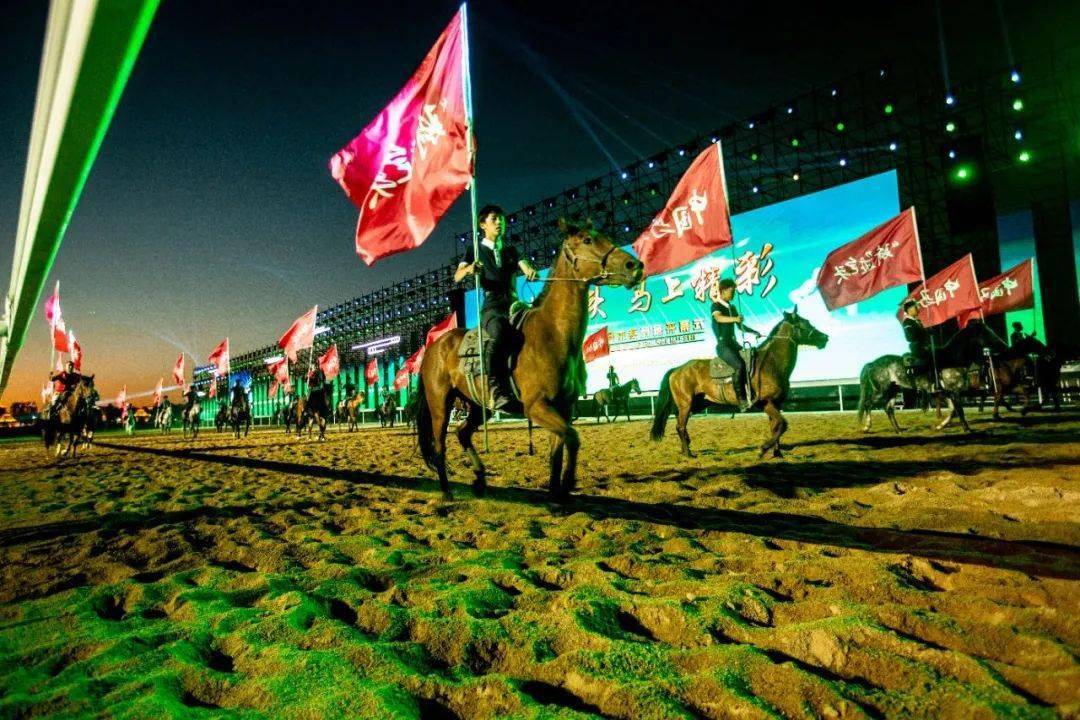 场内座无虚席,欢声雷动流光溢彩,气氛热烈赛汗塔拉的马术赛场.