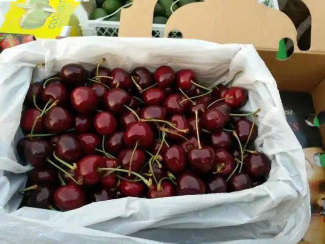 这6个大樱桃品种深得市场喜爱!快来看看!_果实_山东省_塔玛拉