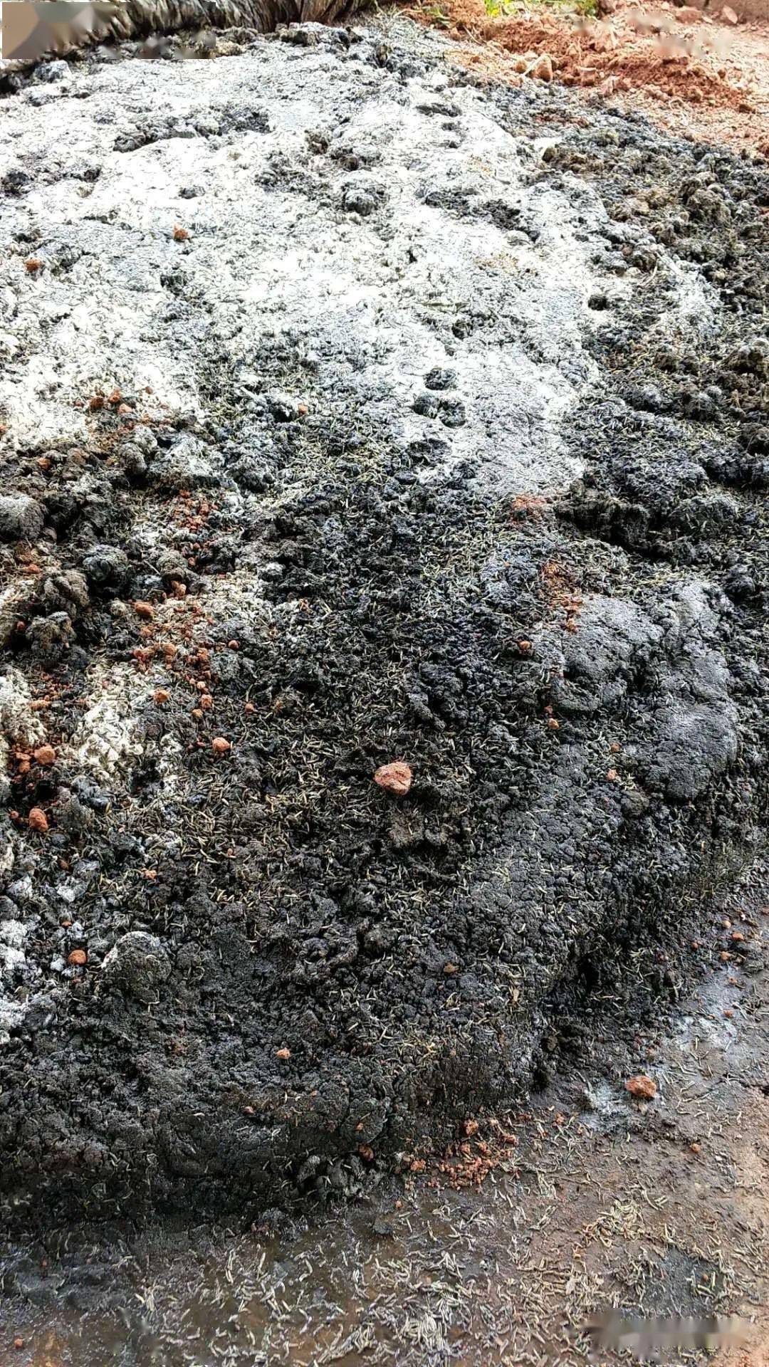 用粪污快速杀蛆除臭发酵剂能够快速解决问题_产品_农业_粪便