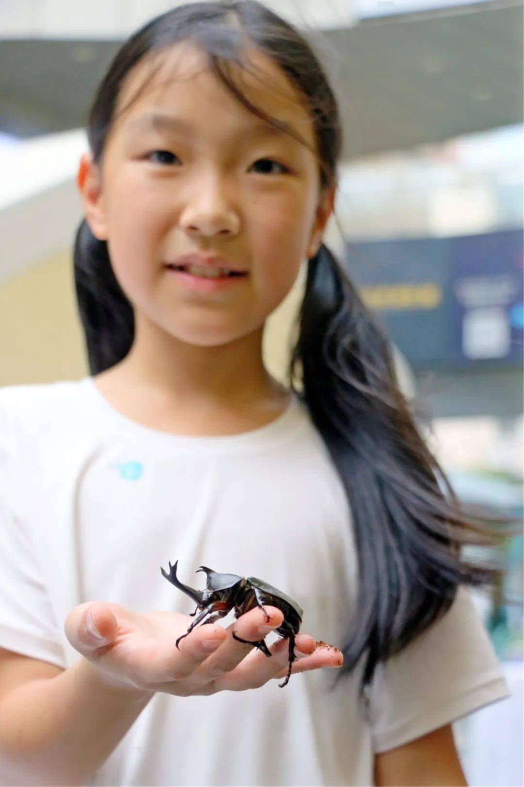 这场"虫虫大作战"不简单_比赛_小朋友们_活动