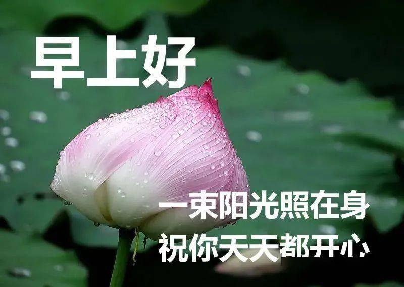 生活态度_人生感悟_问候早安的句子