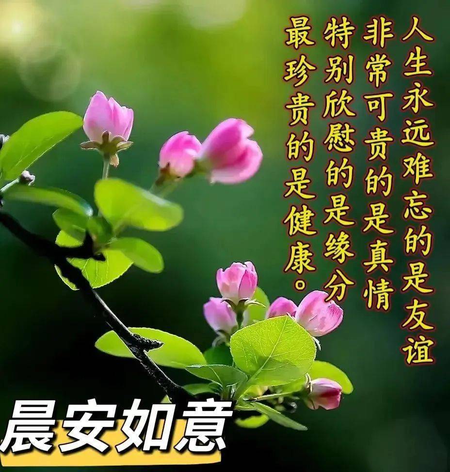 人生感悟_问候早安的句子_生活态度