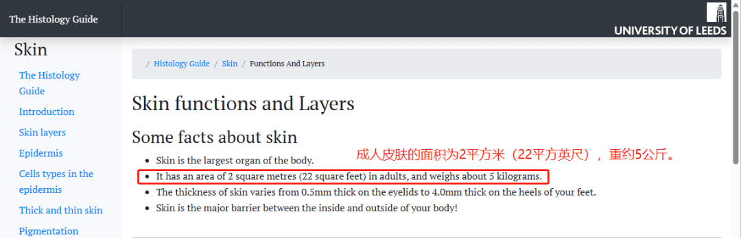 原来男人的脸皮比女人厚,是真的!牢记这5点,夏季出门有“好面子”_皮肤_厚度_防晒霜